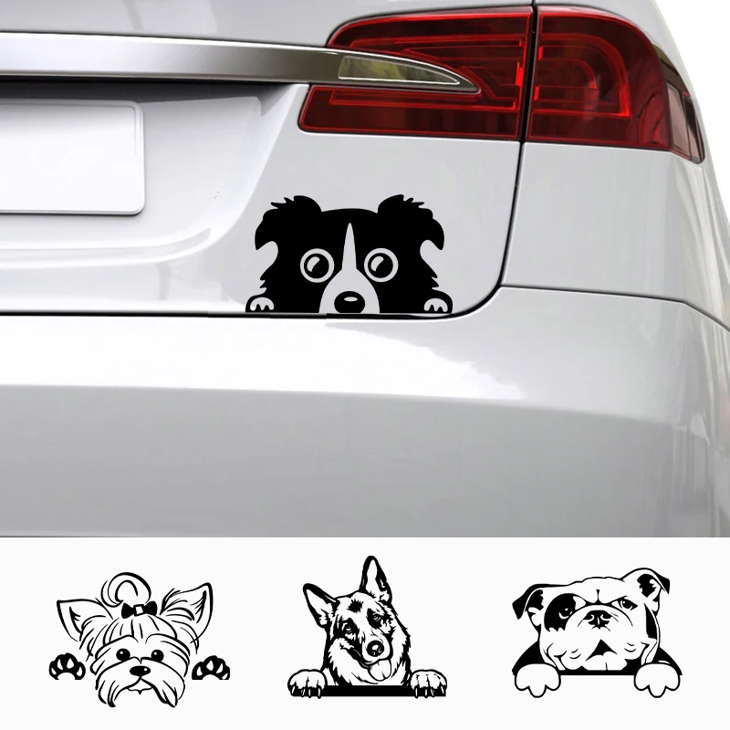 Laptop Accessories Name - Calcomanías de accesorios para coches, perro
